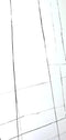 Auriga White 24X48  Wall And Floor Tile